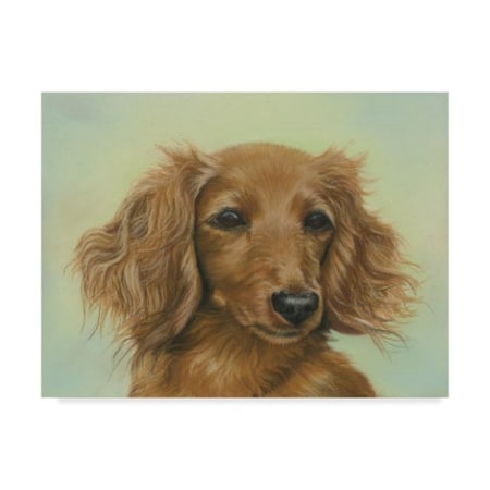 Janet Pidoux 'Sophie Puppy' Canvas Art,18x24
